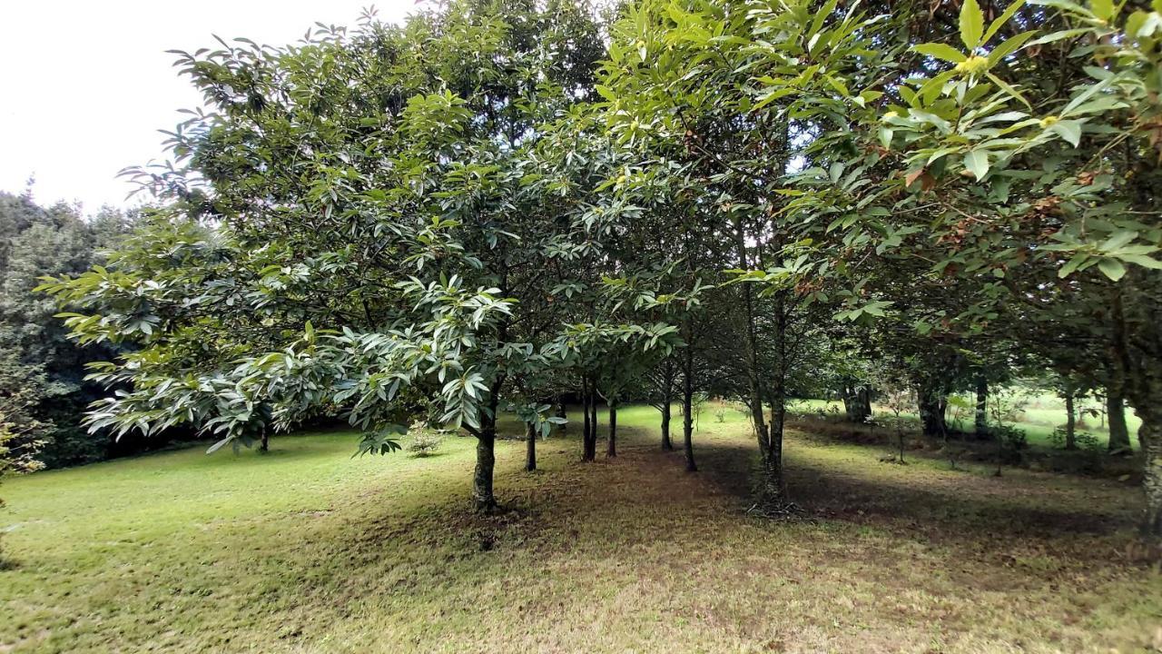 A Casa Dos Avos - Vilarino - A Coruna Ngoại thất bức ảnh