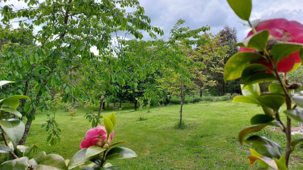 A Casa Dos Avos - Vilarino - A Coruna Ngoại thất bức ảnh